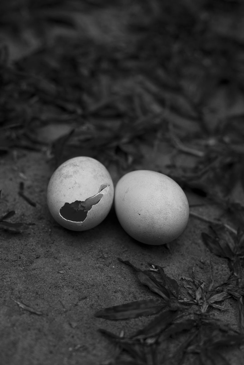 © Priyadarshini Ravichandran - Image from the Surge photography project