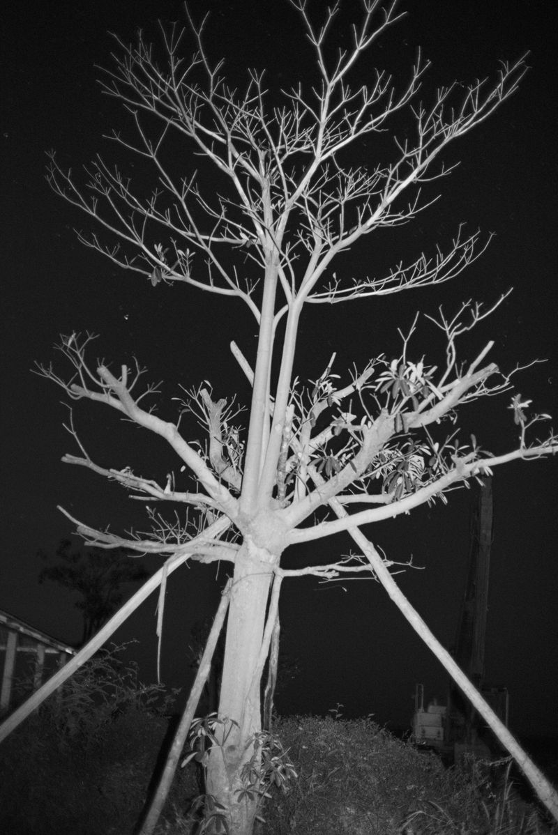 © Priyadarshini Ravichandran - Image from the Surge photography project