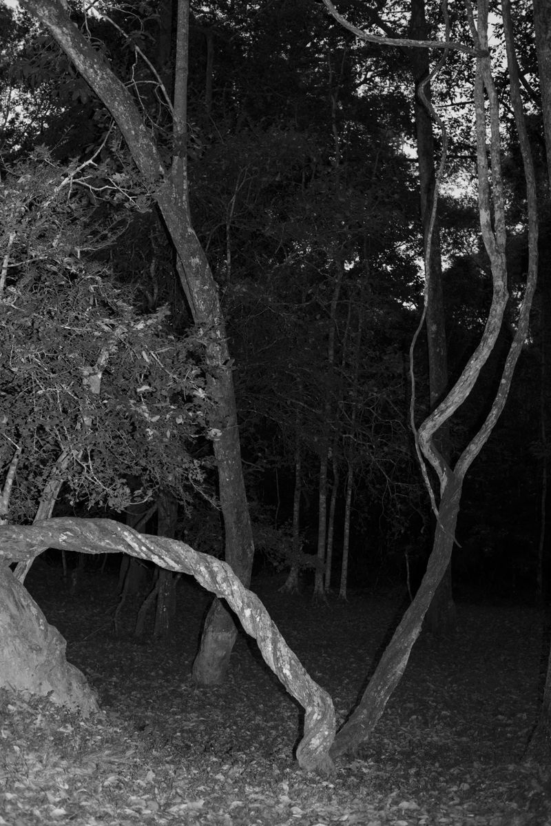 © Priyadarshini Ravichandran - Image from the Surge photography project