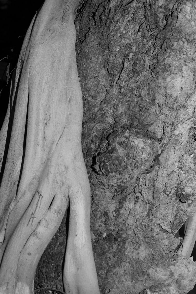 © Priyadarshini Ravichandran - Image from the Surge photography project