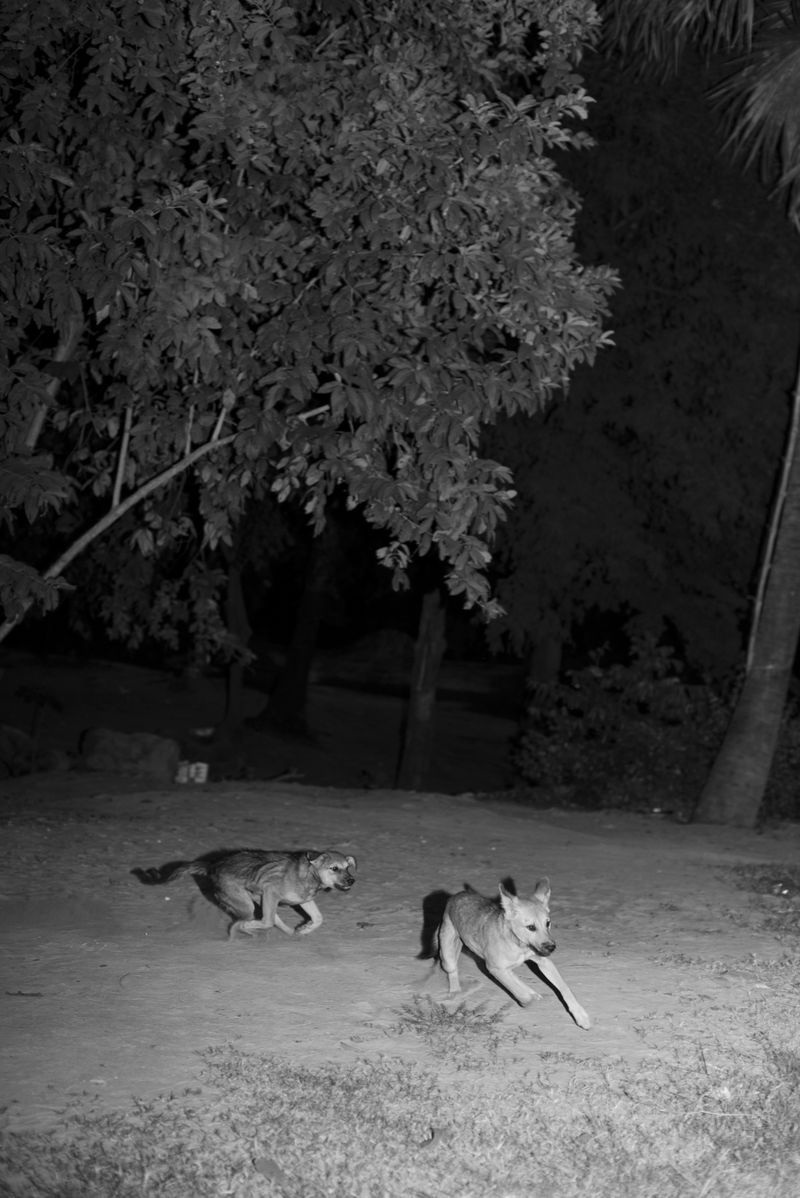 © Priyadarshini Ravichandran - Image from the Surge photography project