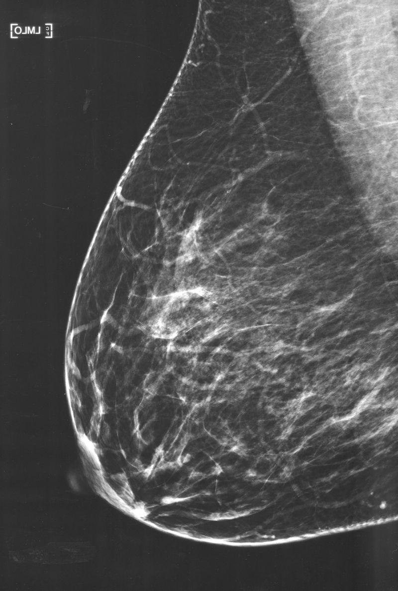 © Jagoda Wiśniewska - Image from the MLEKO photography project