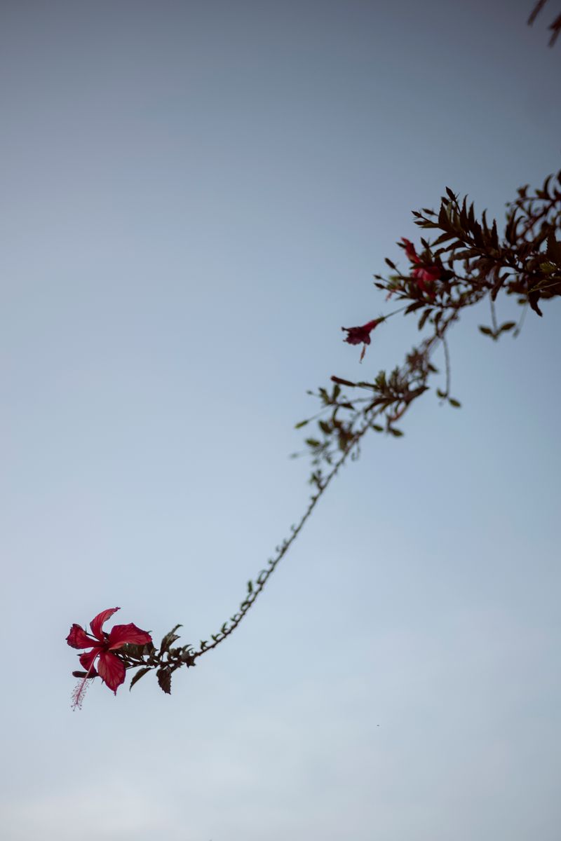 © Sofia Busk - Image from the Maisha Girls photography project