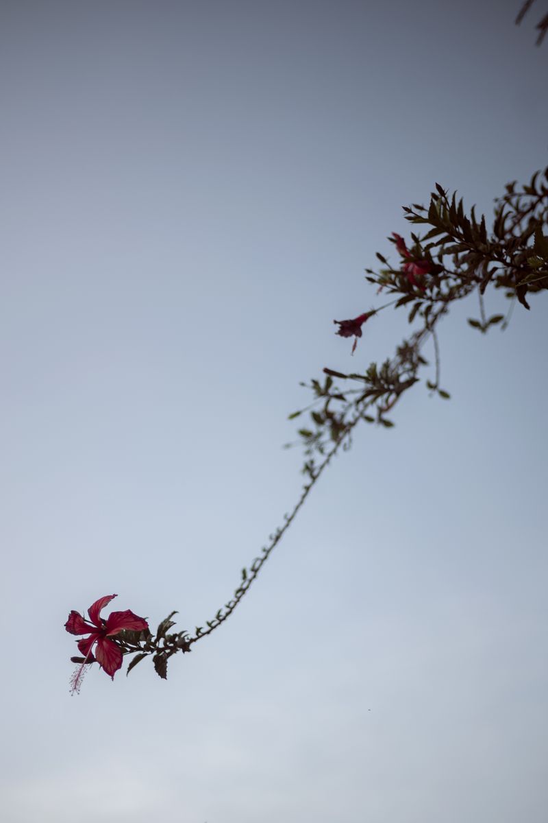 © Sofia Busk - Image from the Maisha Girls photography project