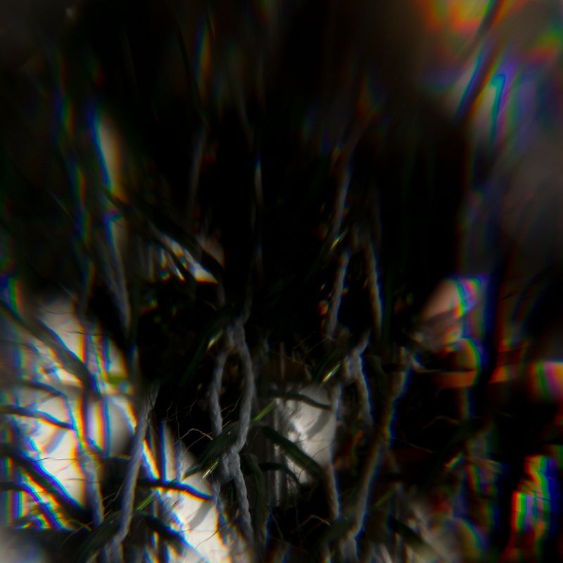 © Alana Celii - Untitled, 2018