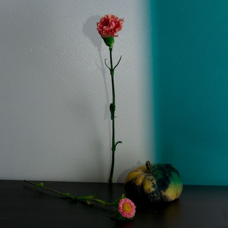 © Alana Celii - Still Life, 2017