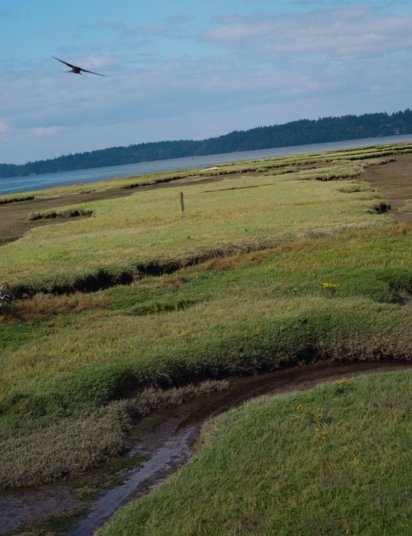 © Alana Celii - Image from the The Decade Volcanoes photography project