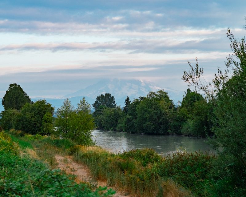 © Alana Celii - Mt Rainier as seen from the banks of the Puyallup river near Fife, WA.