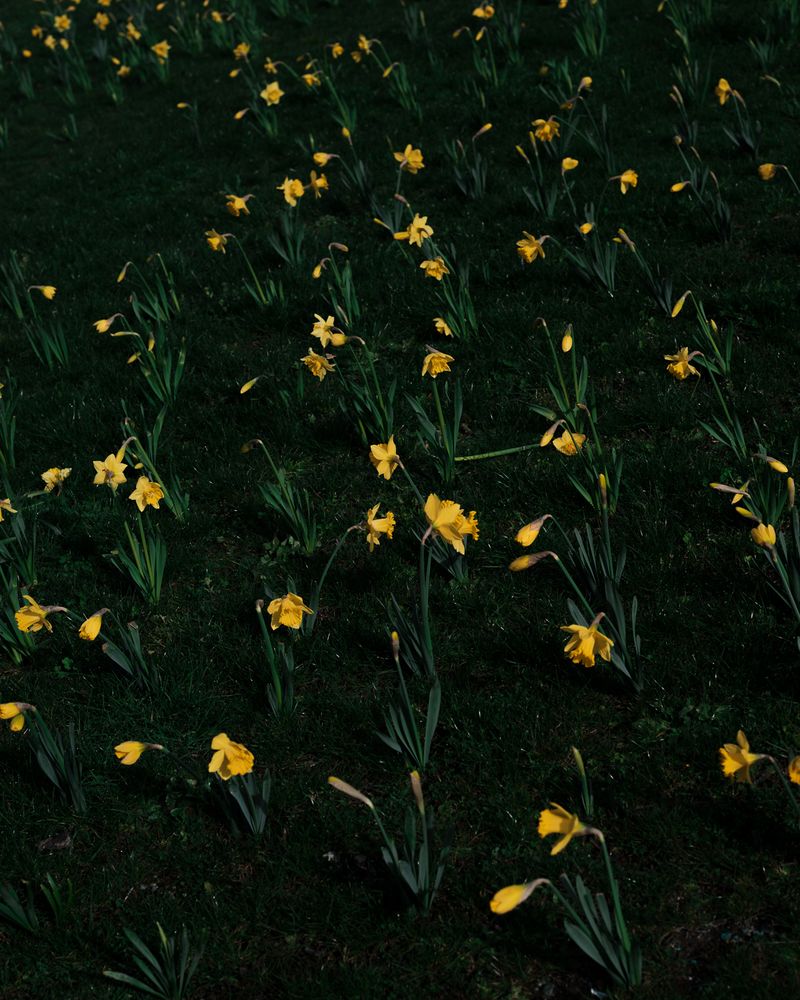 © Alana Celii - Image from the The Decade Volcanoes photography project