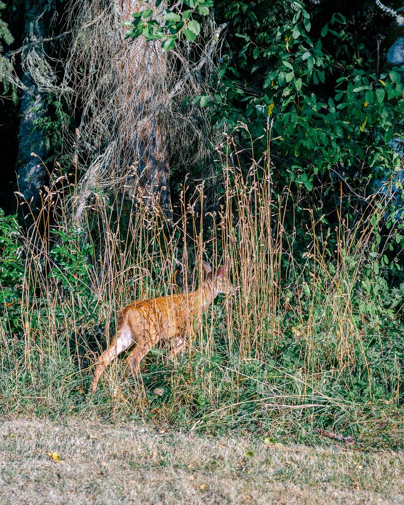 © Alana Celii - Image from the The Decade Volcanoes photography project