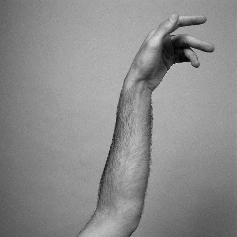 © Alana Celii - Gemini, 2016