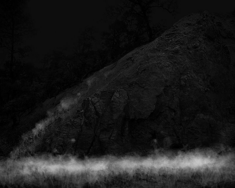 © Alex Turner - 127 White-Tailed Deer, 43 Javelinas, 29 Gray Foxes, 4 Coyotes, 3 Humans, 1-Month Interval, Patagonia Mountains, AZ