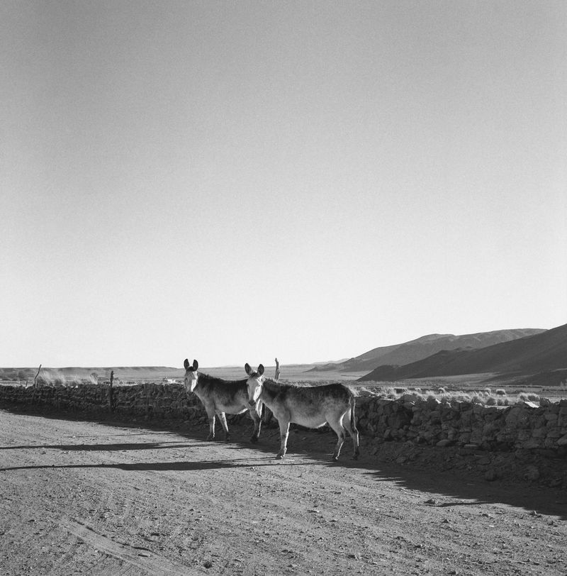 © Sofia Bensadon - Image from the Al amparo del Río photography project