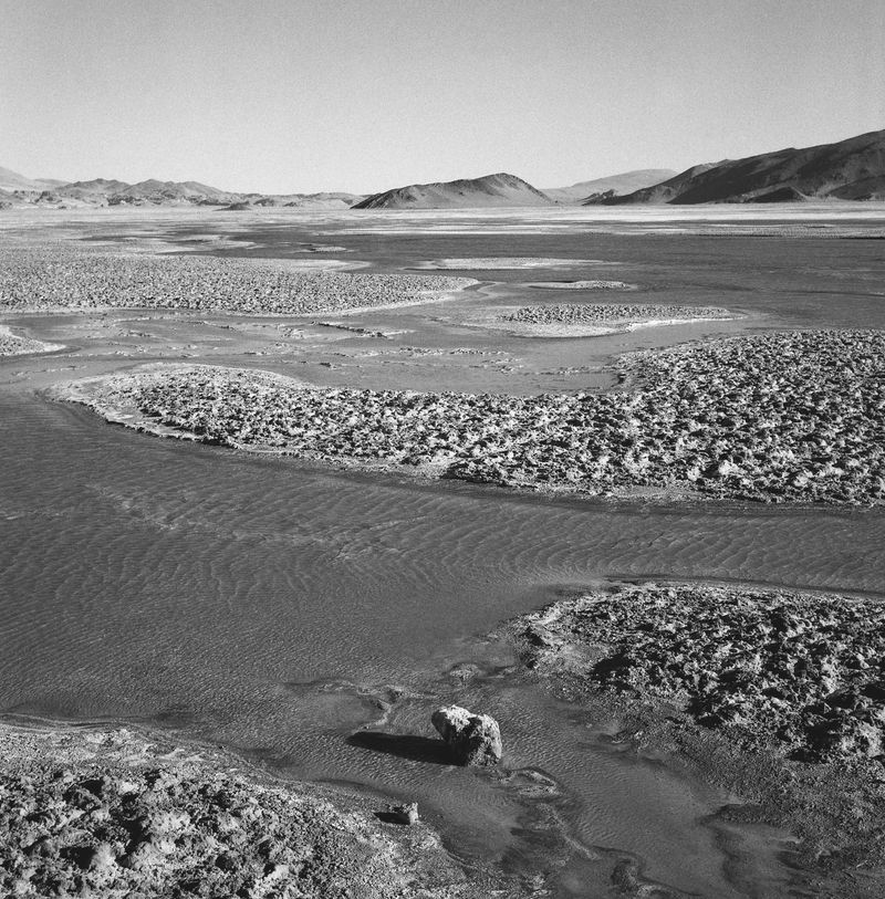 © Sofia Bensadon - Image from the Al amparo del Río photography project