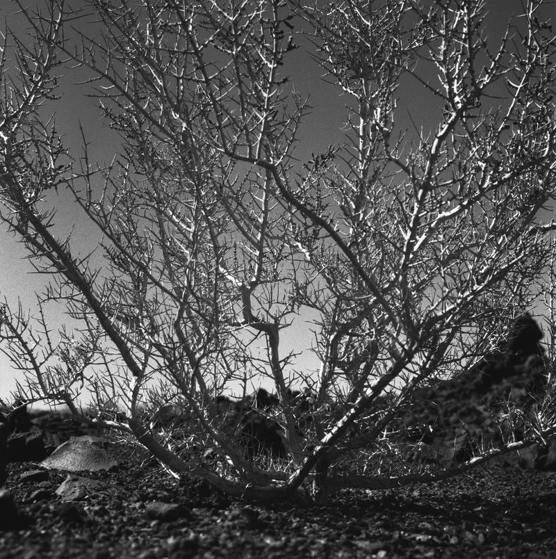 © Sofia Bensadon - Image from the Al amparo del Río photography project