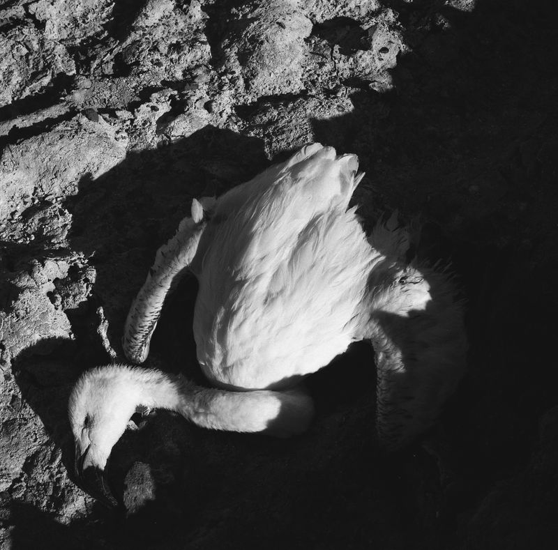 © Sofia Bensadon - Image from the Al amparo del Río photography project