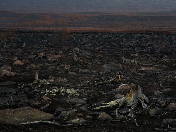 © Vladimir Seleznev - Landscape around the metallurgical plant
