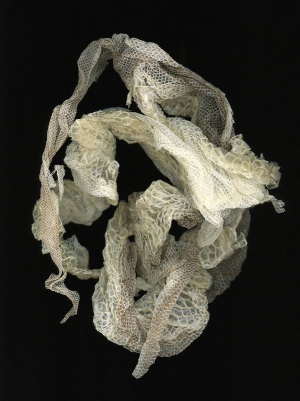 © Margaux Corda - Image from the THE ART OF SHIFTING photography project