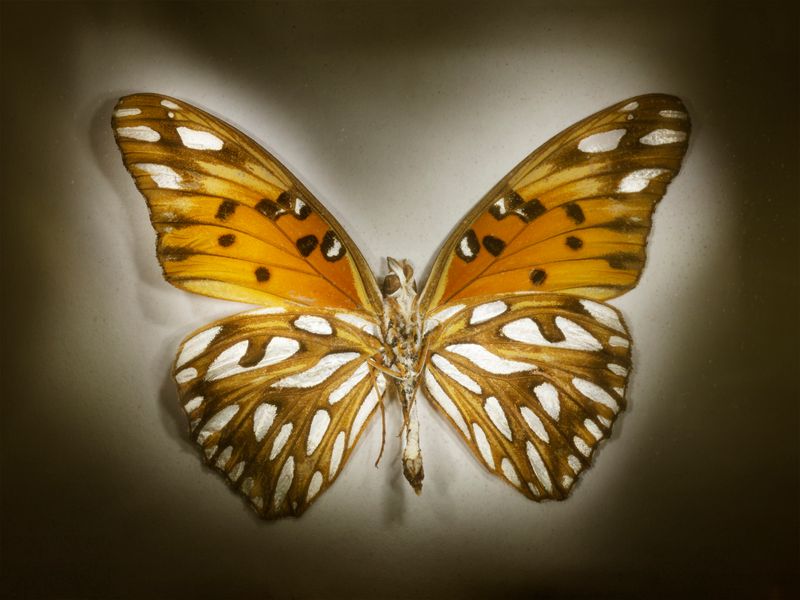 © Margaux Corda - Image from the THE ART OF SHIFTING photography project