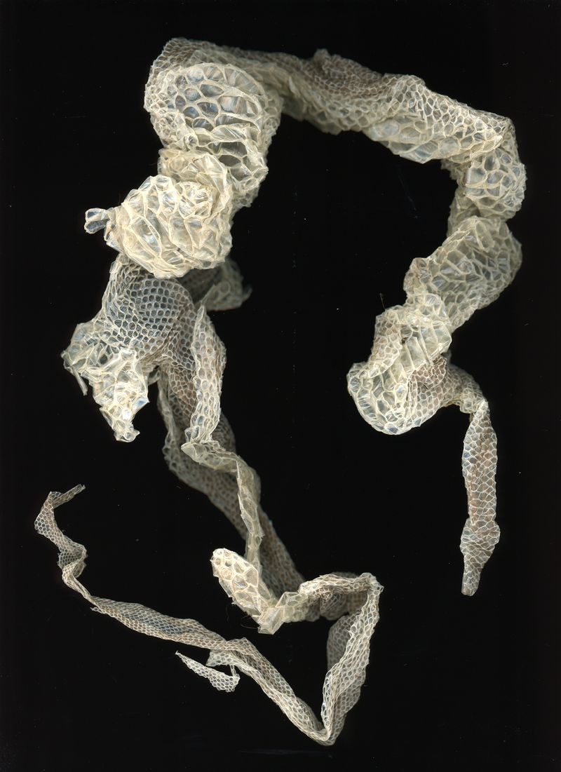 © Margaux Corda - Image from the The Art Of Shifting photography project