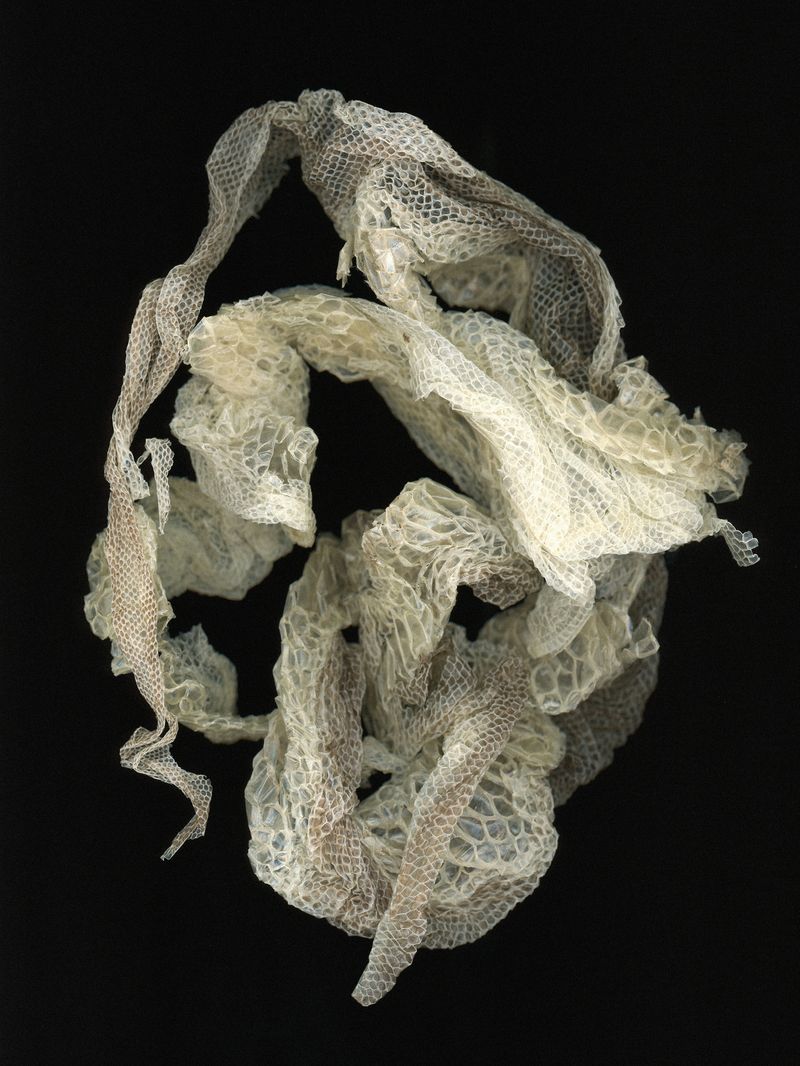 © Margaux Corda - Image from the The Art Of Shifting photography project