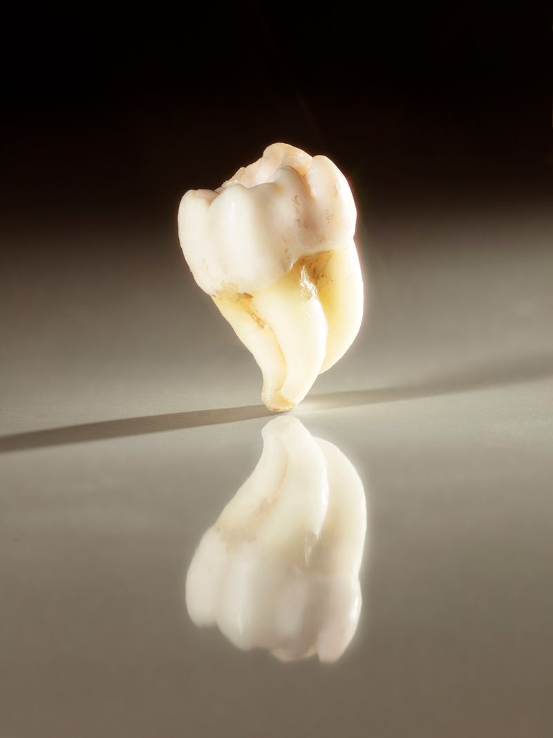 © Margaux Corda - Image from the The Art Of Shifting photography project