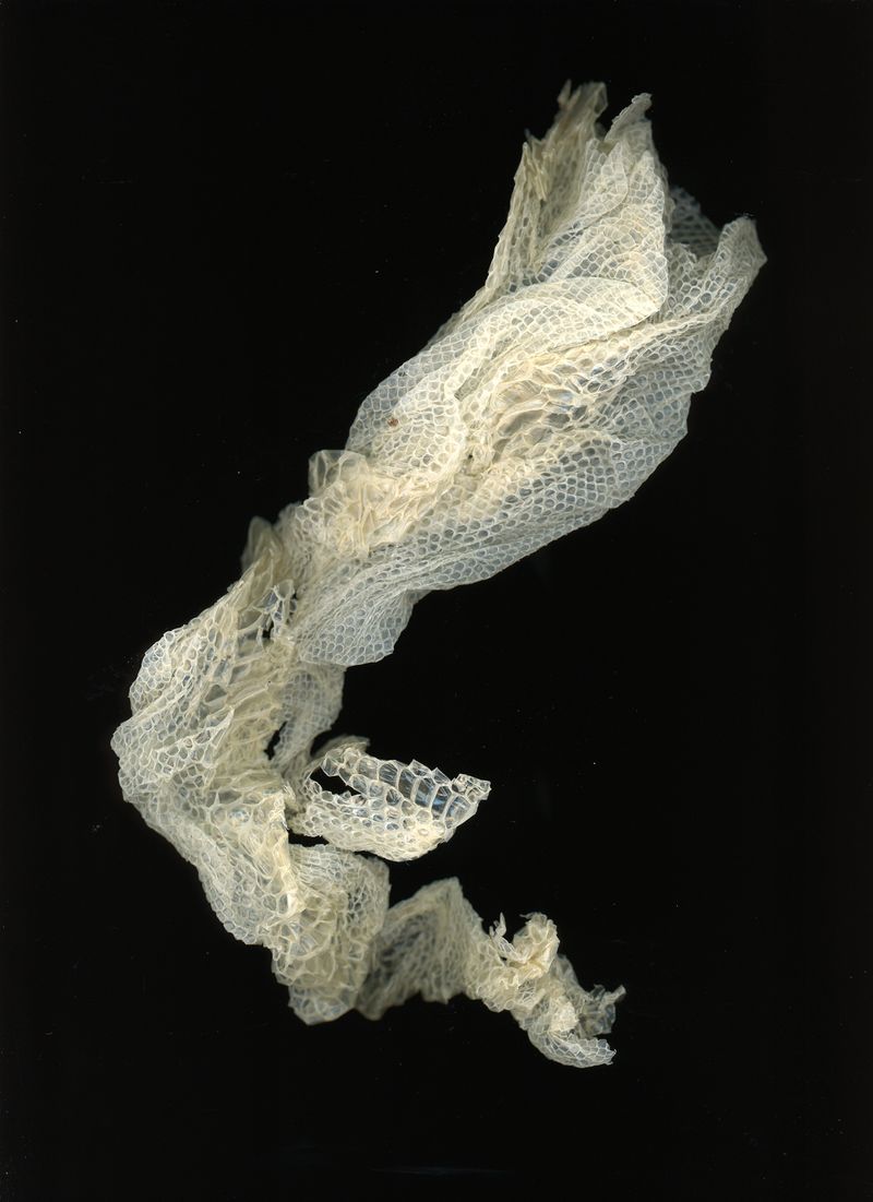 © Margaux Corda - Image from the The Art Of Shifting photography project