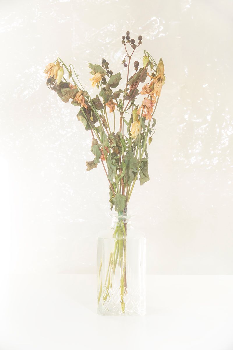 © Margaux Corda - The Mourning