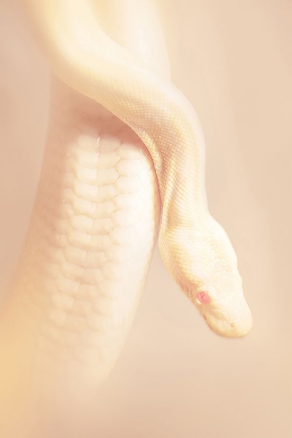 © Margaux Corda - Image from the Blade For Babes photography project