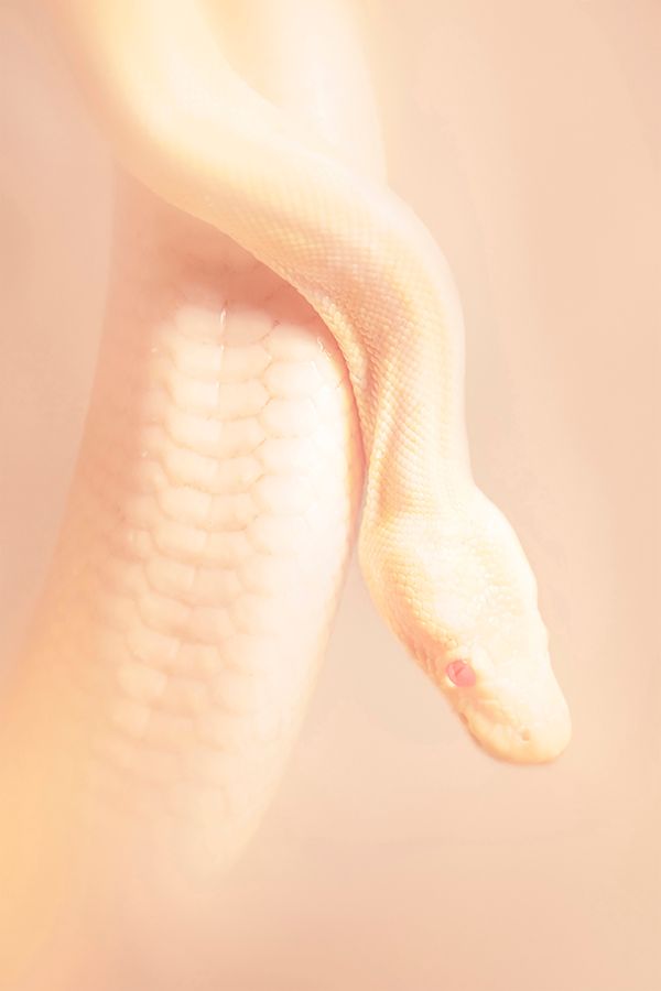 © Margaux Corda - Image from the Blade For Babes photography project