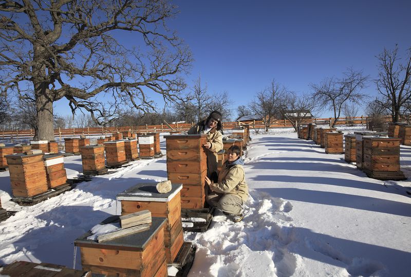 © Tom Atwood - MARY CELLEY & SUE WILLIAMS, Beekeepers Brooklyn, WI
