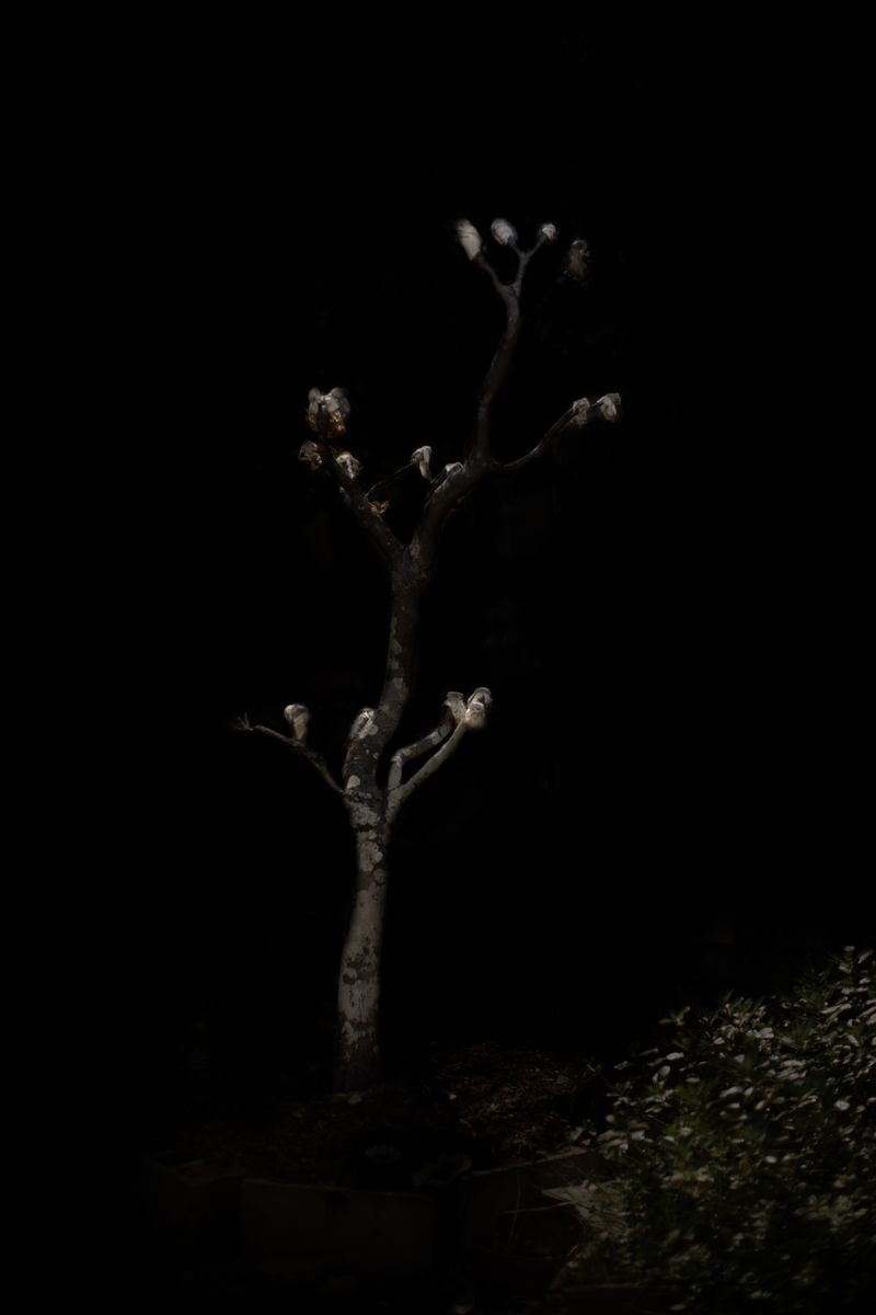 © Marianne Ingleby - Image from the Operation Detachment: How can we remember what he have never seen? photography project