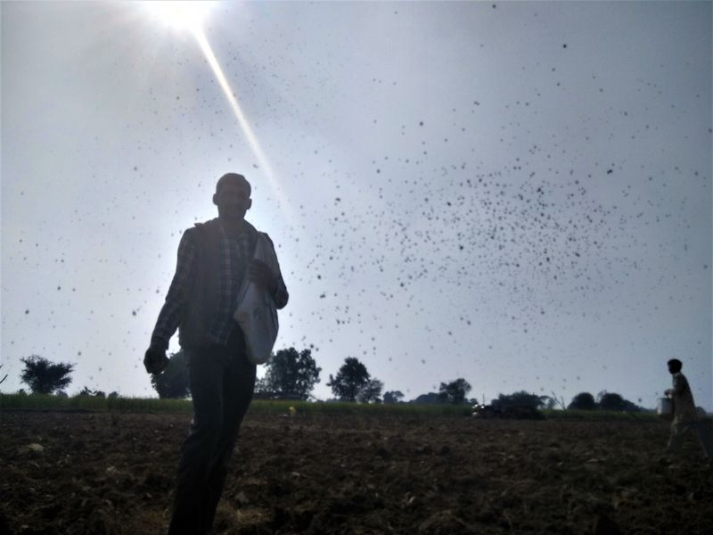 © Prateek Shankar - Image from the Bad Trip Cotton photography project