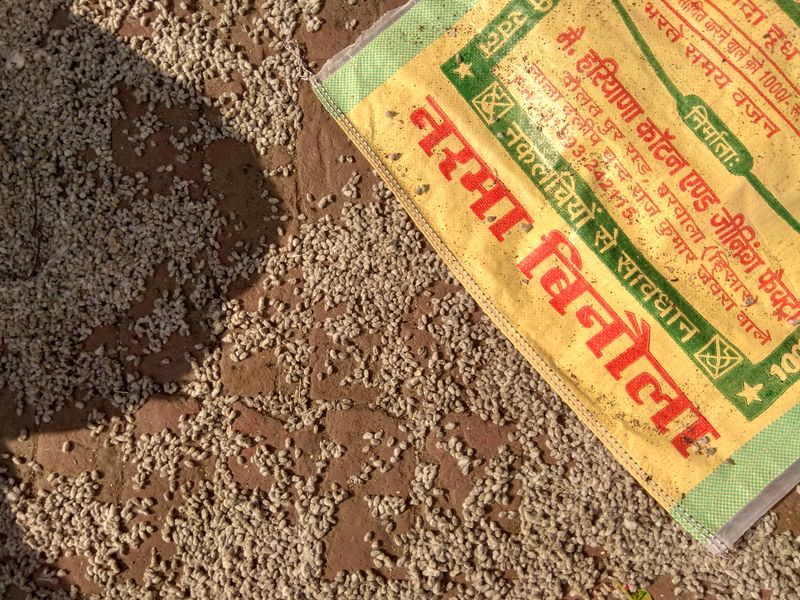 © Prateek Shankar - Image from the Bad Trip Cotton photography project