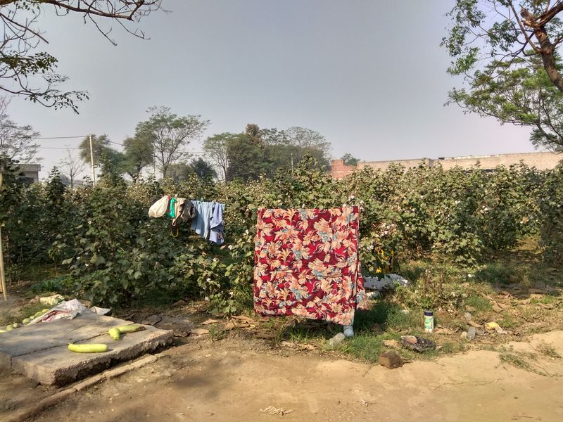 © Prateek Shankar - Image from the Bad Trip Cotton photography project