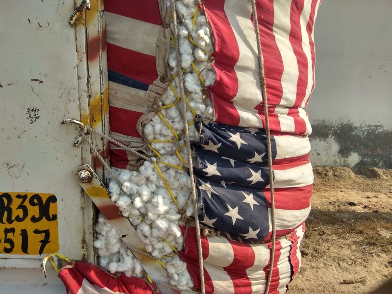 © Prateek Shankar - Image from the Bad Trip Cotton photography project