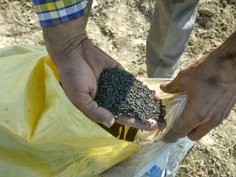 © Prateek Shankar - Image from the Bad Trip Cotton photography project