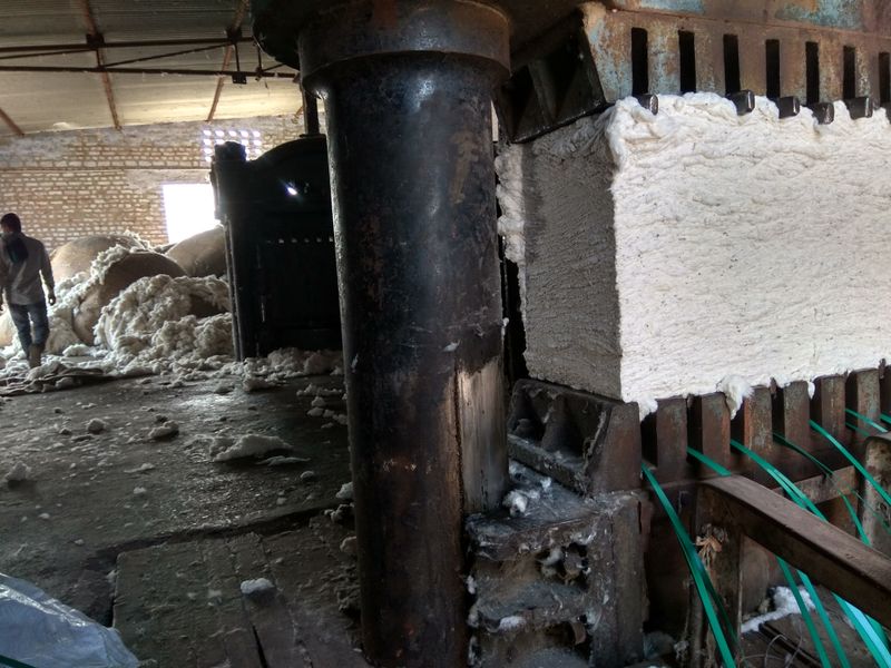 © Prateek Shankar - Image from the Bad Trip Cotton photography project