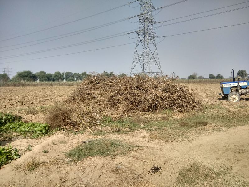 © Prateek Shankar - Image from the Bad Trip Cotton photography project