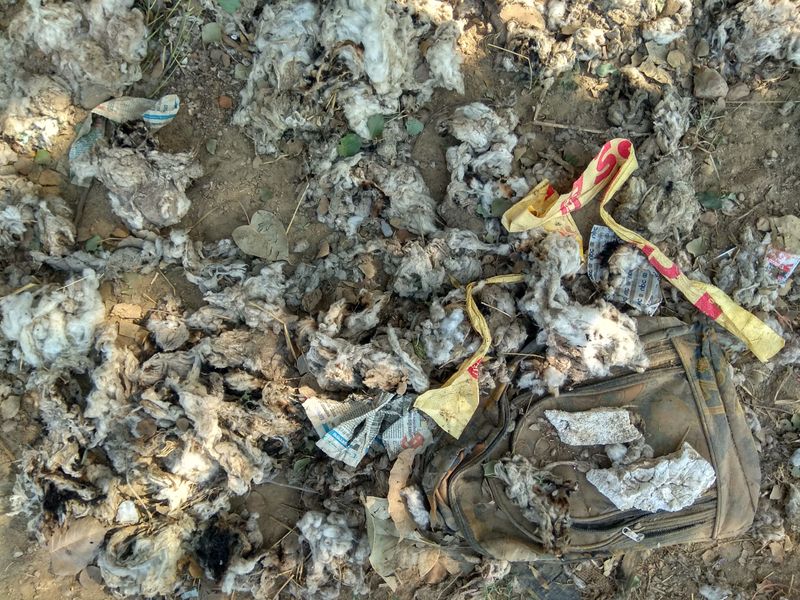 © Prateek Shankar - Image from the Bad Trip Cotton photography project