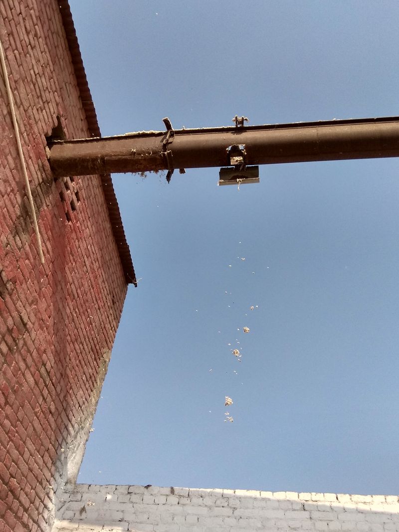 © Prateek Shankar - Image from the Bad Trip Cotton photography project