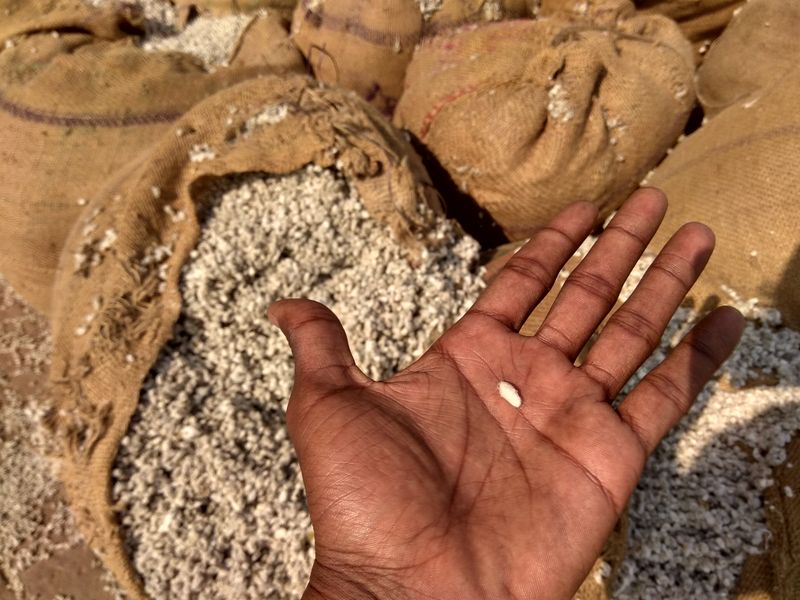 © Prateek Shankar - Image from the Bad Trip Cotton photography project