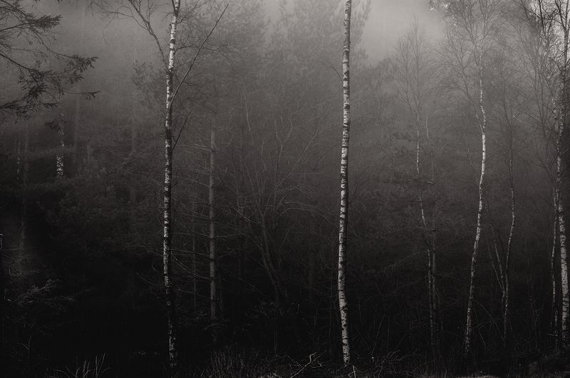 © Anita Petra Hamremoen - Vi Femina Mother Earth