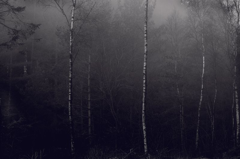 © Anita Petra Hamremoen - Vi Femina Mother Earth