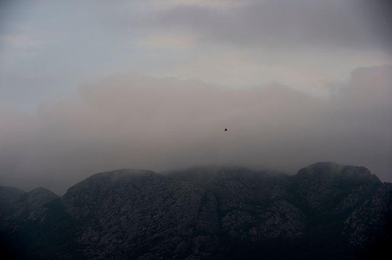 © Anita Petra Hamremoen - Free