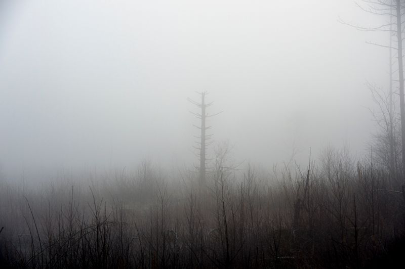 © Anita Petra Hamremoen - White