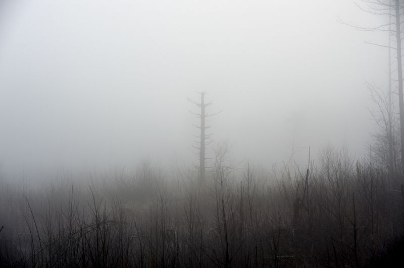© Anita Petra Hamremoen - White