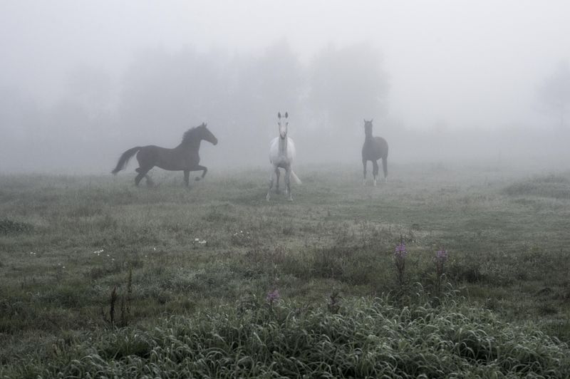 © Anita Petra Hamremoen - Moment