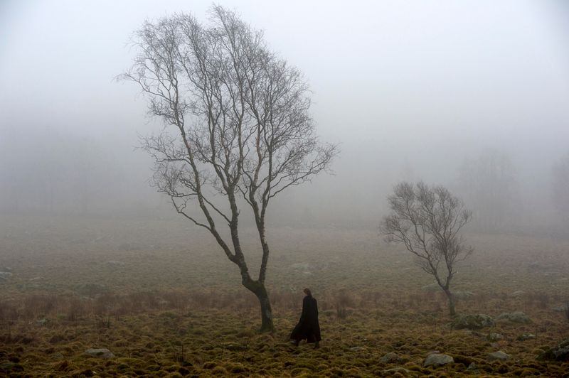 © Anita Petra Hamremoen - Three