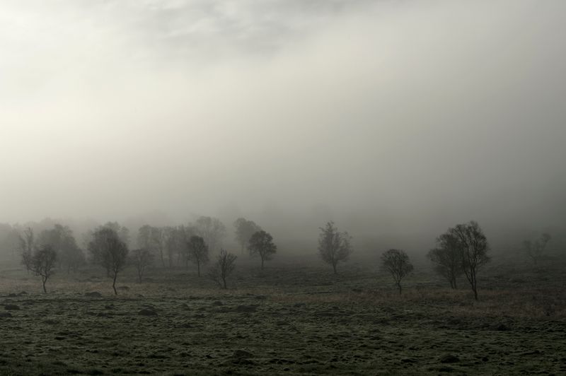 © Anita Petra Hamremoen - Timeless